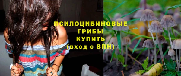 спайс Медногорск