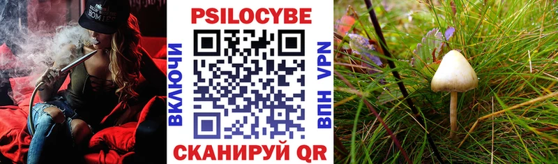 Галлюциногенные грибы мицелий  Чулым 