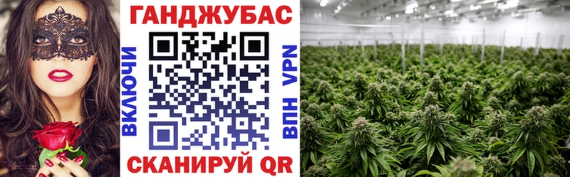 Марихуана SATIVA & INDICA  Чулым 